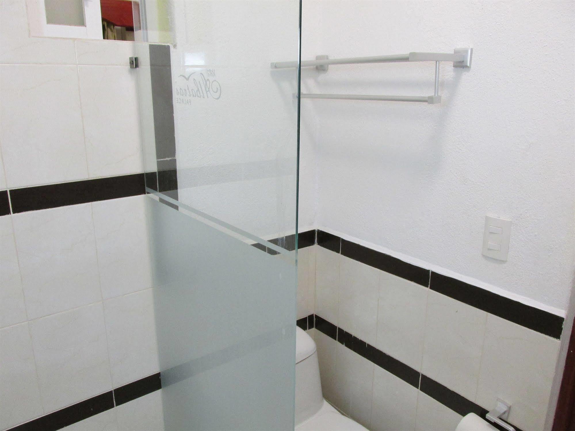 Hotel Albatros Palace Manzanillo Dış mekan fotoğraf